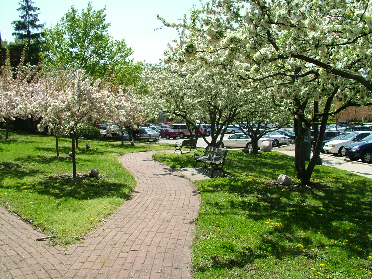 The Avenue of the Righteous